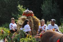  MB Zielnej